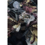 Безворсовый ковер Neutra Mint Безворсовый ковер Neutra Mint
